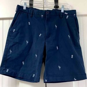 Mens flamingo pineapple shorts